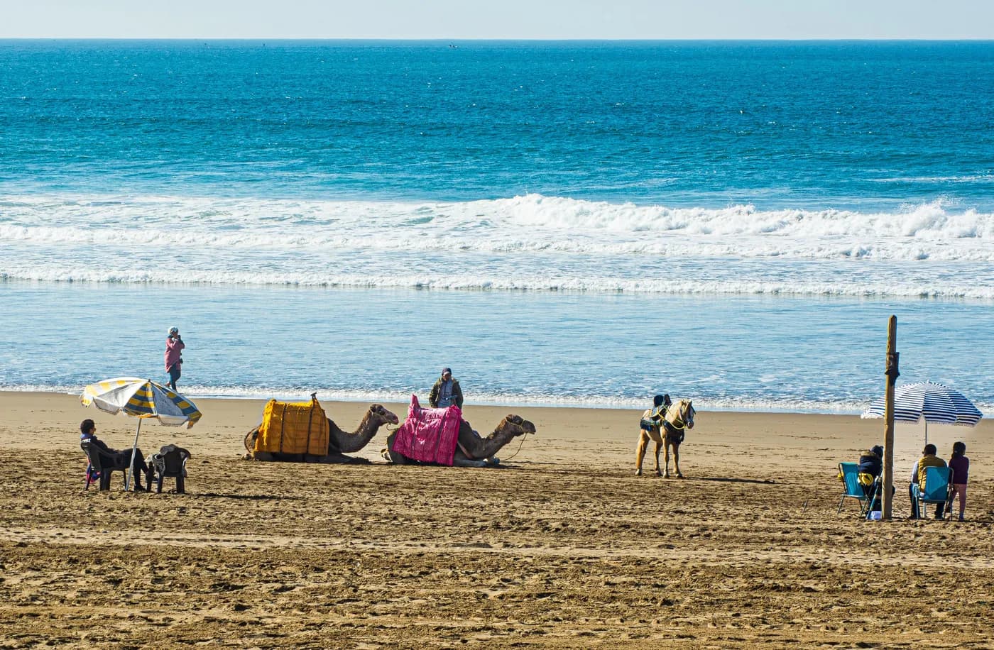 Camels resting on the sand with the Atlantic breaking behind
