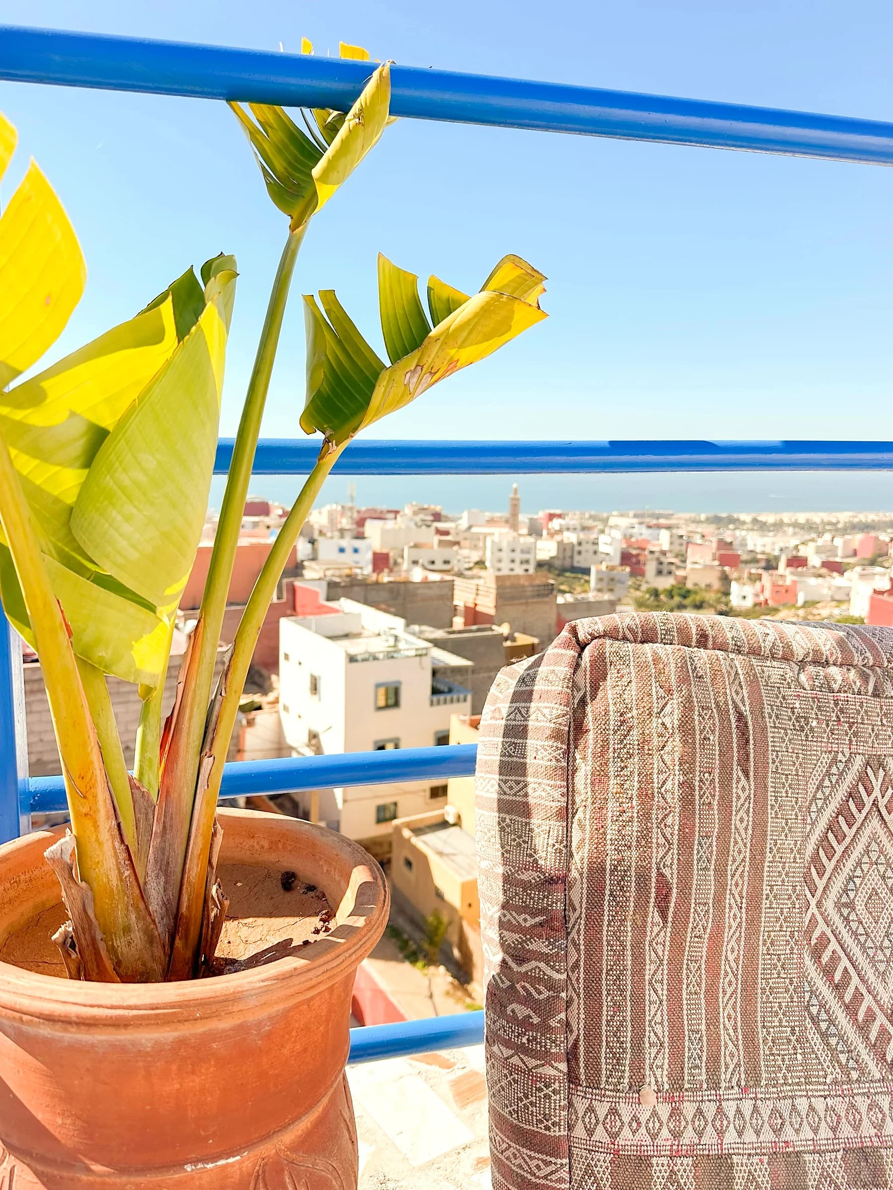 Rooftop terrace over the bay