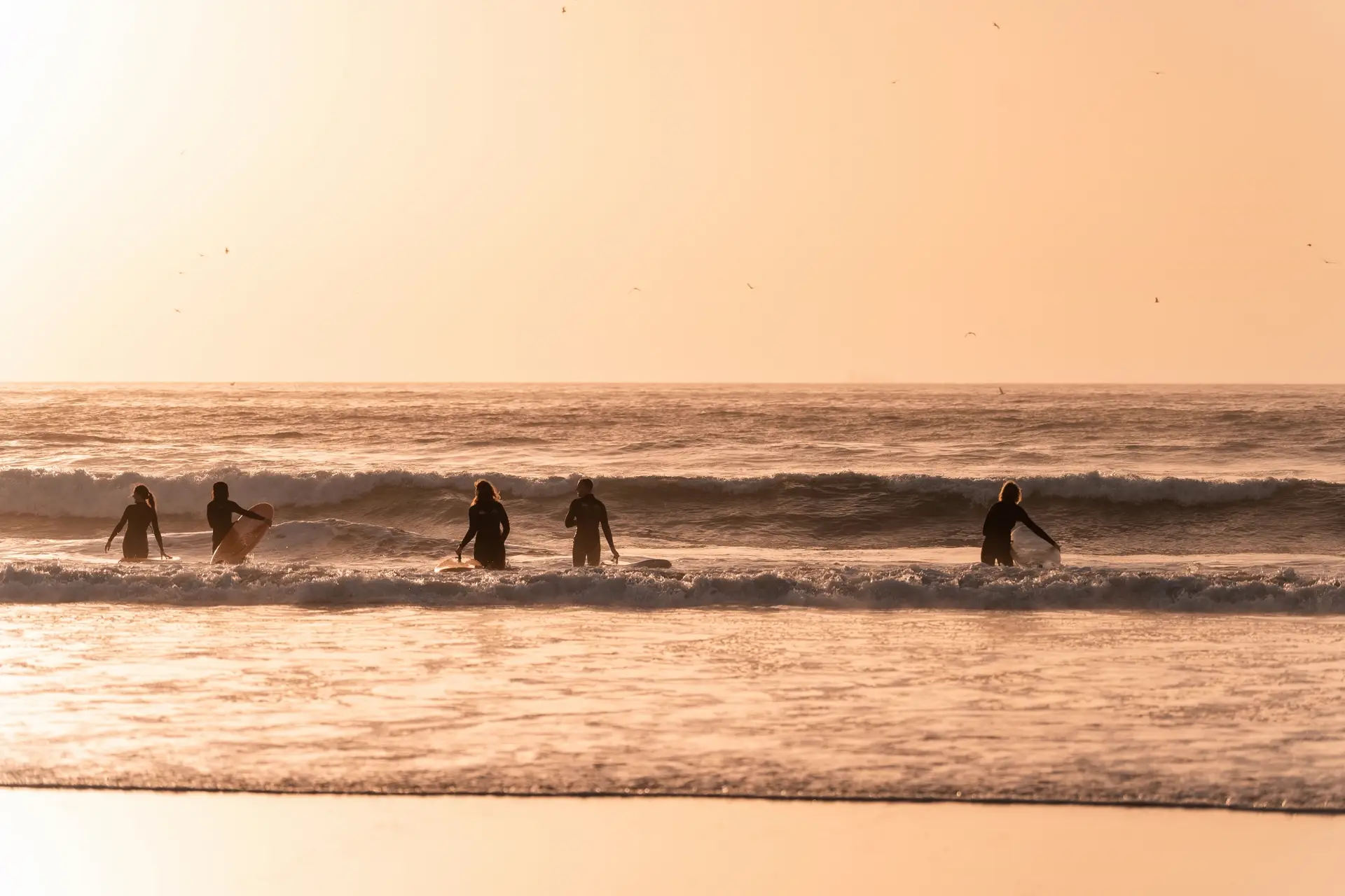 Surfers wading into a golden evening sea, birds overhead