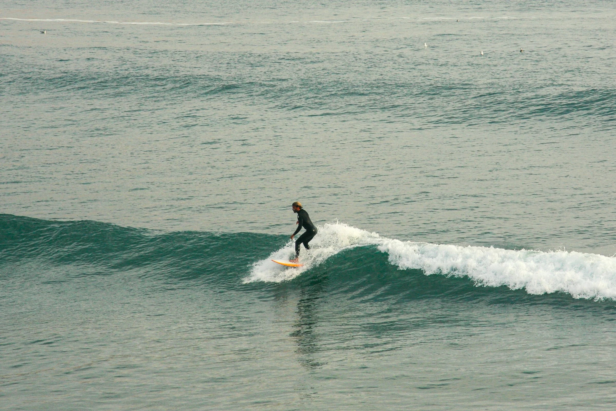 A lone surfer on a glassy wave