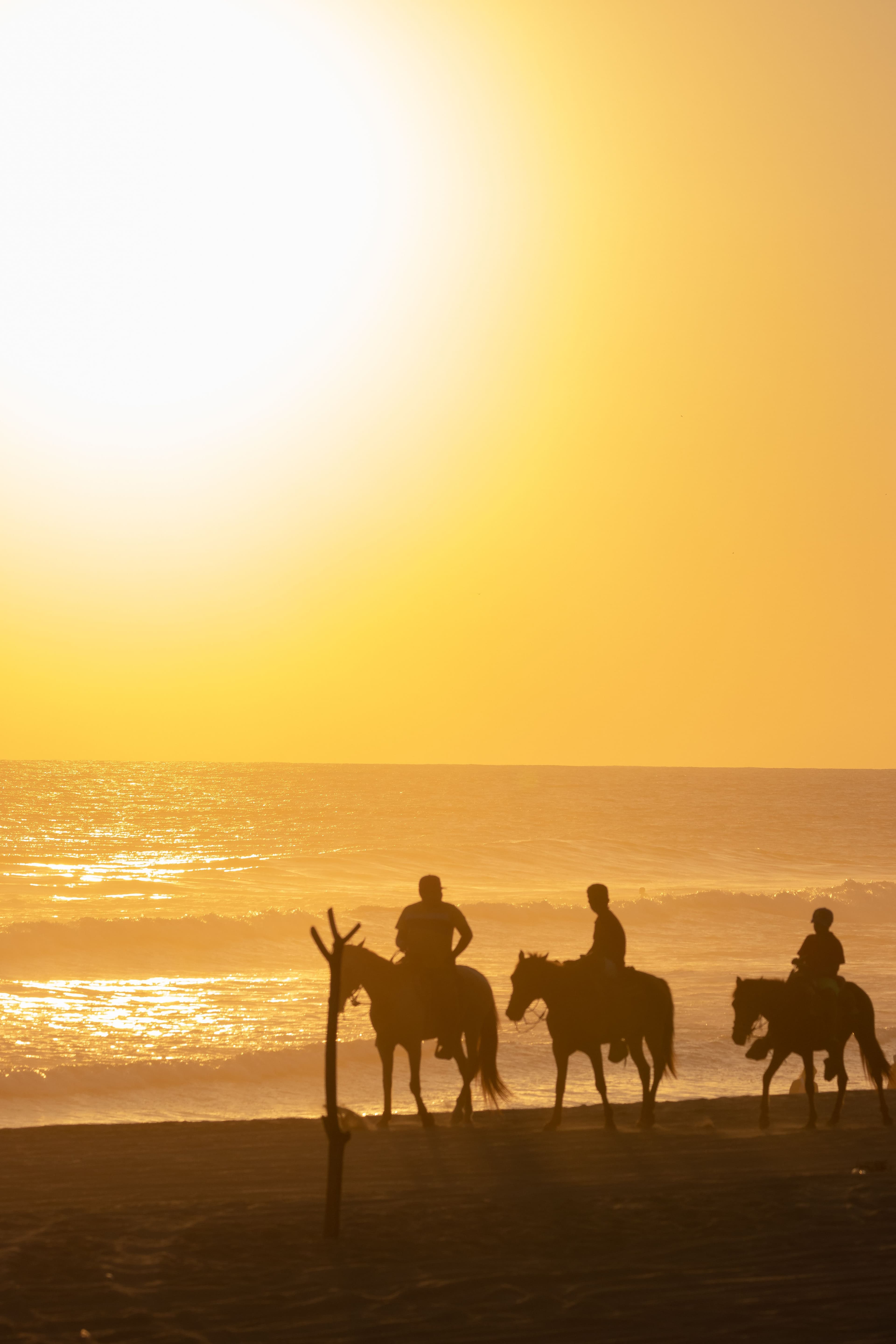 Surf & Horseback riding, day plan